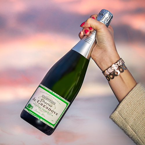 Bouteille de champagne Charles de Cazanove cuvée Bio tenue par une main dans l’air, un ciel rose en fond / Bottle of Charles de Cazanove cuvée Bio champagne held by a hand in the air, a pink sky in the background